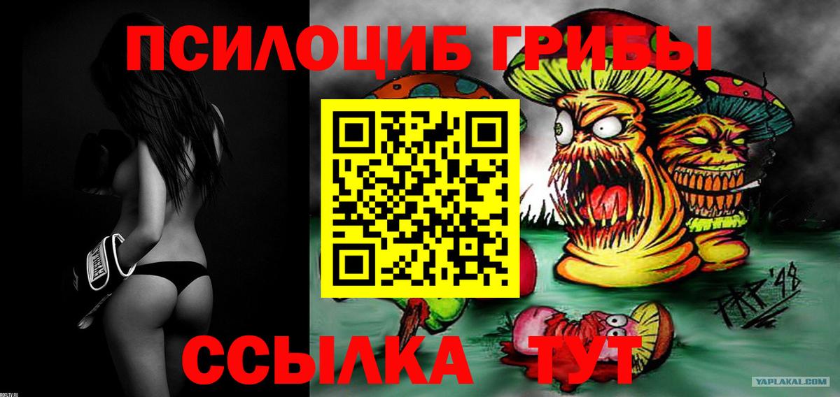 Орехово-Зуево  Псилоцибиновые грибы мицелий  Вход с VPN 