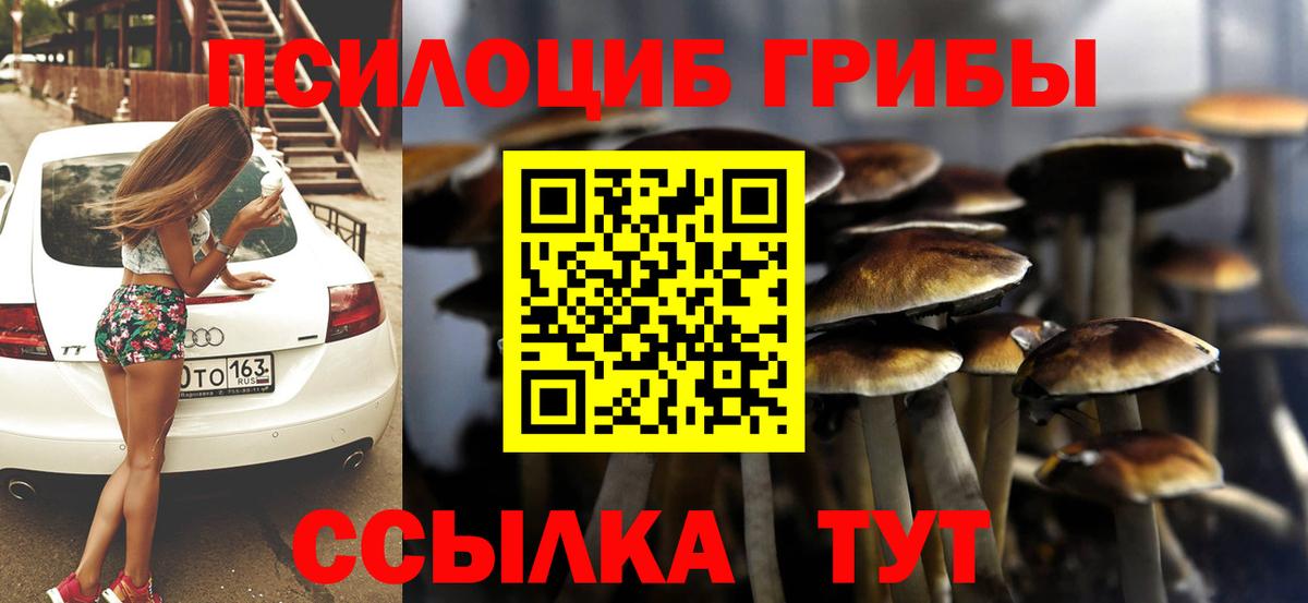 Псилоцибиновые грибы мицелий Орехово-Зуево